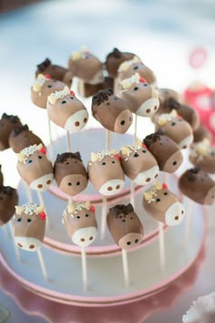 there are many cake pops that look like horses on the plate and in the shape of heads