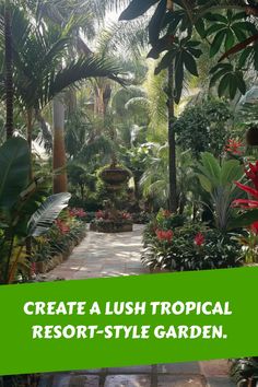 Create a lush tropical resort-style garden. Tropical Gardens Landscape, Lush Tropical Garden, Backyard Beach Landscaping, Shady Tropical Garden Ideas, Tropical Garden Plants Full Sun, Shady Yard Ideas, Tropical Gardens Ideas, Lush Garden Ideas, Tropical Planters Outdoor Full Sun