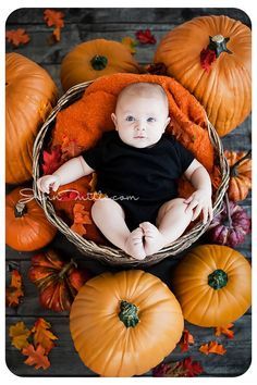 a baby sitting in a basket surrounded by pumpkins