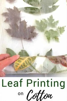 leaf printing on cotton with text overlay that says leaf printing on cotton and leaves