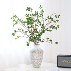 a white vase with some green leaves in it next to a radio and a cup