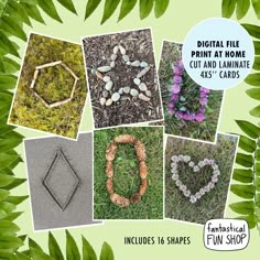 a collage of photos with different plants and rocks in them, including hearts, flowers, leaves, etc