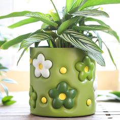 a potted plant sitting on top of a wooden table