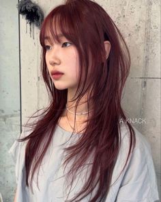 Haircuts Short In Front Long In Back, Long Hair Korean Style Haircuts Straight, Hime Haircut Medium Hair, Trending Layered Haircuts, Long Hair Layers Straight Bangs, Medium Length Messy Haircut, Heavy Angles Hair, Cool Tone Hair Color Asian, Asian Haircuts With Bangs