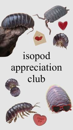 a group of bugs and other insects with the words ispod appreciation club