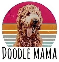 a brown dog with its tongue out and the words doodle mama written below it