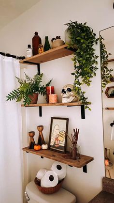 shelves with plants and pictures on them in a small bathroom, next to a toilet