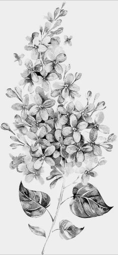 a black and white drawing of some flowers