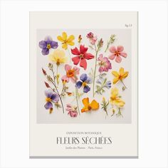 an image of colorful flowers on a white background with the words floriss scheies