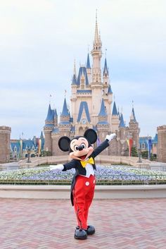 a person in mickey mouse costume standing in front of a castle with its arms out