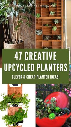 Discover 47 recycled planters ideas to transform your garden! These upcycled planters include DIY upcycled planters, recycled planter boxes, and repurposed planters upcycling projects. Perfect outdoor gardening pots ideas or indoor plant tray ideas, these recycled planter ideas are great for both adults and recycled planters for kids. From cheap pots for plants to creative upcycled hanging planters, find alternative pots for plants that add charm to any space with recycled planter pots! Cheap Planters, Ornament Tree Display, Pots Ideas