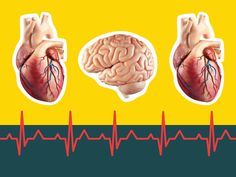 Would you know the difference between the signs of a stroke, a heart attack, and cardiac arrest? Here's a quick explainer of each one. Cough Natural Remedies, Heart Health Awareness, Critical Care Nurse, Healthy Heart Tips, Turmeric Health, Bad Cholesterol, Bulletproof Coffee, Integrative Medicine, Heart Problems