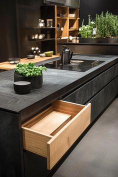 an open drawer in the middle of a kitchen counter top with plants growing on it