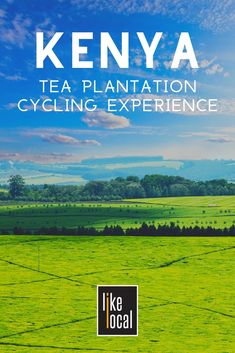 the cover of kenya tea plantation cycling experience, with green fields and blue sky in the background