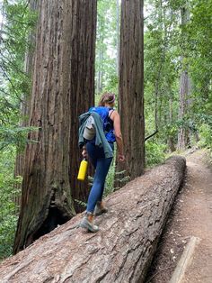 a woman with a backpack is walking on a log in the woods near some trees