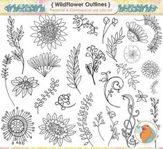 an adult coloring book with flowers and plants