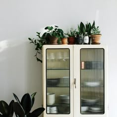 a white cabinet with glass doors and plants on the top shelf, in front of a white wall