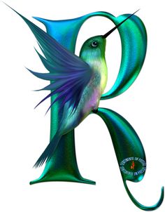 the letter k is made up of green and blue feathers with a hummingbird perched on it's tail