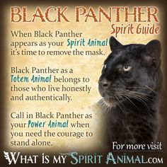 a black panther's spirit guide with an image of its face and the words, what is my spirit animal?