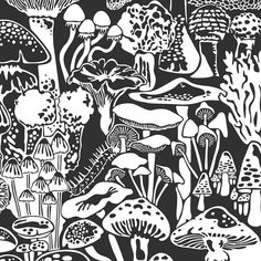 a black and white drawing of many different types of mushrooms in the forest, with one large