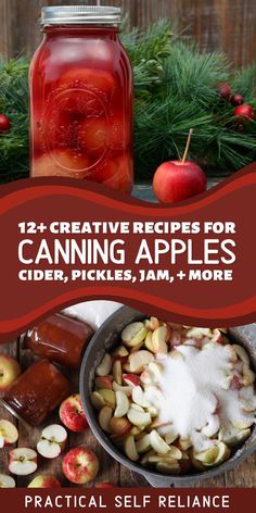 canning apples with text overlay that reads, 12 creative recipes for canning apples cider pickles jam more practical self reliance