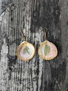 two seashells are hanging from gold earwires on a piece of wood