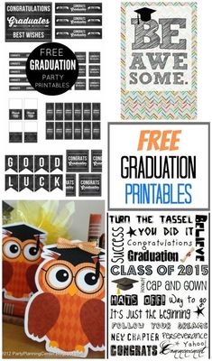 graduation party printables with an owl theme and freebiets for the graduate