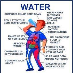 Health Info, Health Facts, Healthy Tips, Healthy Body, Get Healthy, Drinking Water