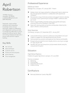 a professional resume template with no work experience