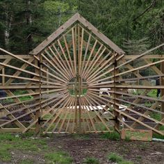 a wooden gate in the middle of a forest