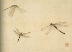 three dragonflies are flying in the air