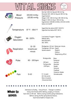 an info sheet describing the health benefits of vitamins