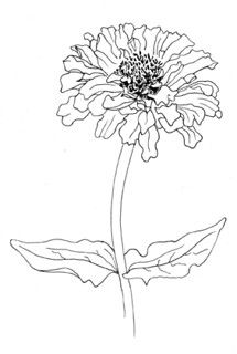 a black and white drawing of a flower