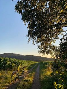 a bike parked on the side of a dirt road next to a lush green field