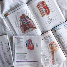 an open book with diagrams of the human heart