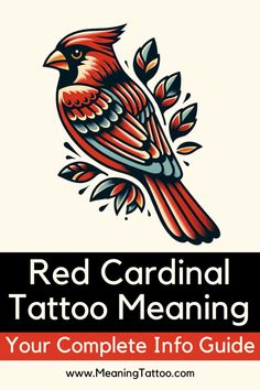 the red cardinal tattoo meaning your complete info guide for beginners to learn how to get started