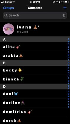 an iphone screen showing the names and numbers of different types of items in each language