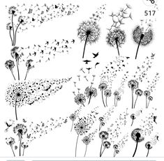 black and white dandelions blowing in the wind with birds flying around them on a white background