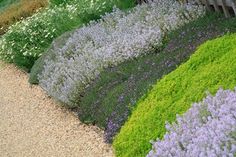 a garden filled with lots of different types of flowers next to a wooden bench on top of a gravel road