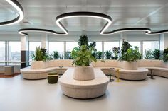 an office lobby with couches and potted plants