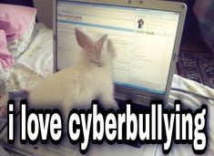 a cat sitting on top of a laptop computer next to a stuffed animal and text that reads, i love cyberbullying