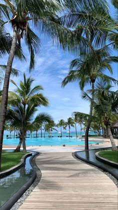 a wooden walkway leading to the beach with palm trees on either side and blue water in the background