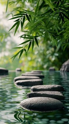 stepping stones in the water with bamboo leaves