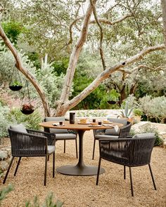 an outdoor dining table and chairs with the text get the look dining oasis shop the look