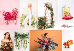 various images of flowers and plants in different colors, including red, pink, yellow, green