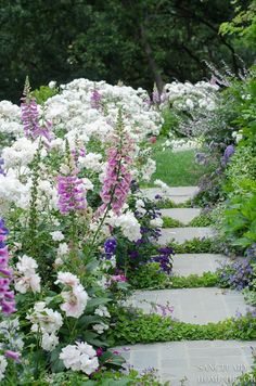 a garden filled with lots of white and purple flowers