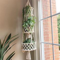 a window sill filled with plants next to a potted plant