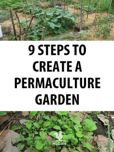 an image of a garden with plants growing in it and the words 9 steps to create a permaculture garden