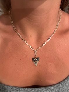 16 inch shark tooth necklace (teeth handpicked in Florida) with 14k gold filled clasp and jump rings. Shark Tooth Jewelry, How To Make Shark Tooth Necklace, Shark Teeth Necklace, Sand Tiger Shark Tooth Necklace, Shark Necklace Tooth, Shark Teeth Jewelry, Shark Tooth Pendant, Shark Earrings, Shark Tooth Necklace