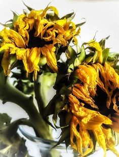 a vase filled with yellow sunflowers on top of a table